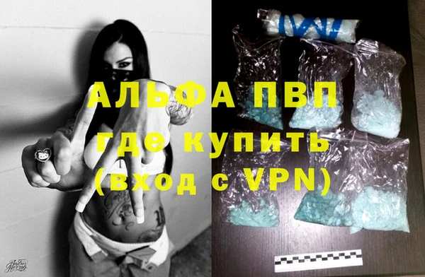 стафф Россошь